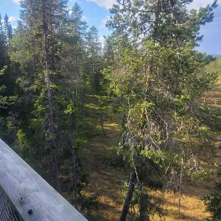 度假居 Fantastic Experiences, Wooden A Serene Escape In Forest
