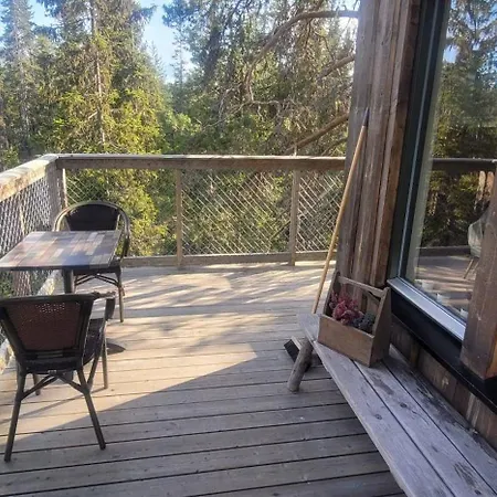 Fantastic Experiences, Wooden A Serene Escape In Forest *